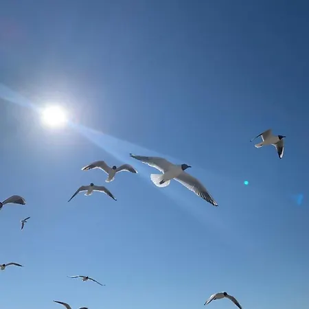 아파트 Baltic